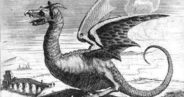 Engraving from Meyer's book of the fake Italian dragon