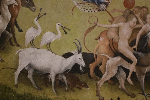 Spoonbills on goat, Hieronymus Bosch