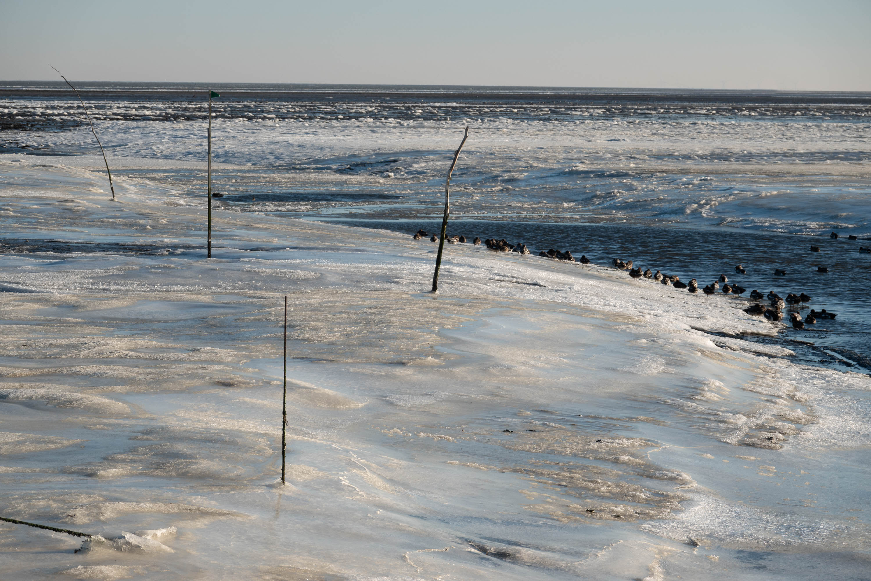 Frozen Wadden Sea Texel, 10 January 2024